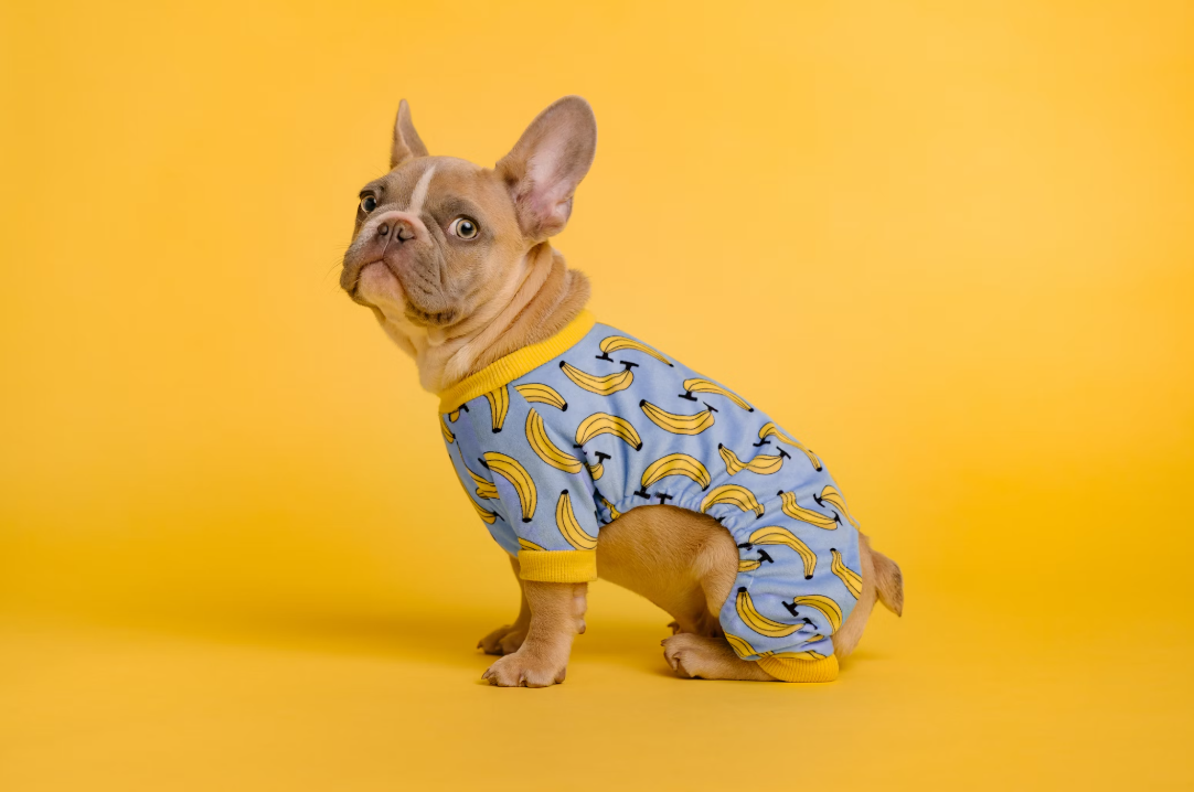 Pet Apparel