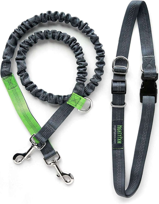 Adjustable hands-free bungee dog leash set with a durable waist belt for easy dog walking and running.